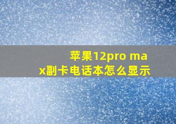 苹果12pro max副卡电话本怎么显示